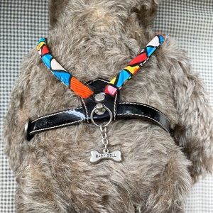 Donald Pliner dog harness
